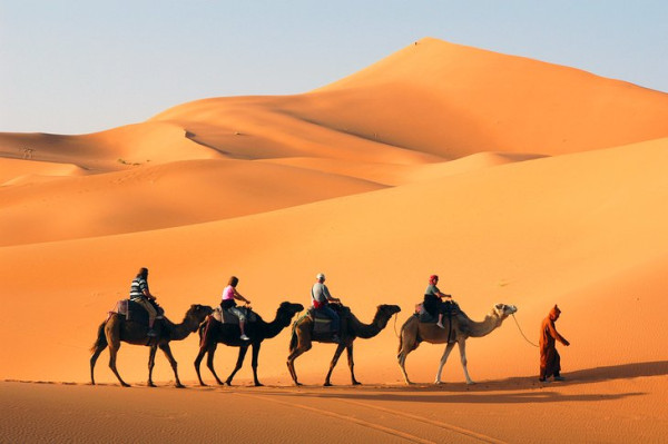 Morocco Business  Tour